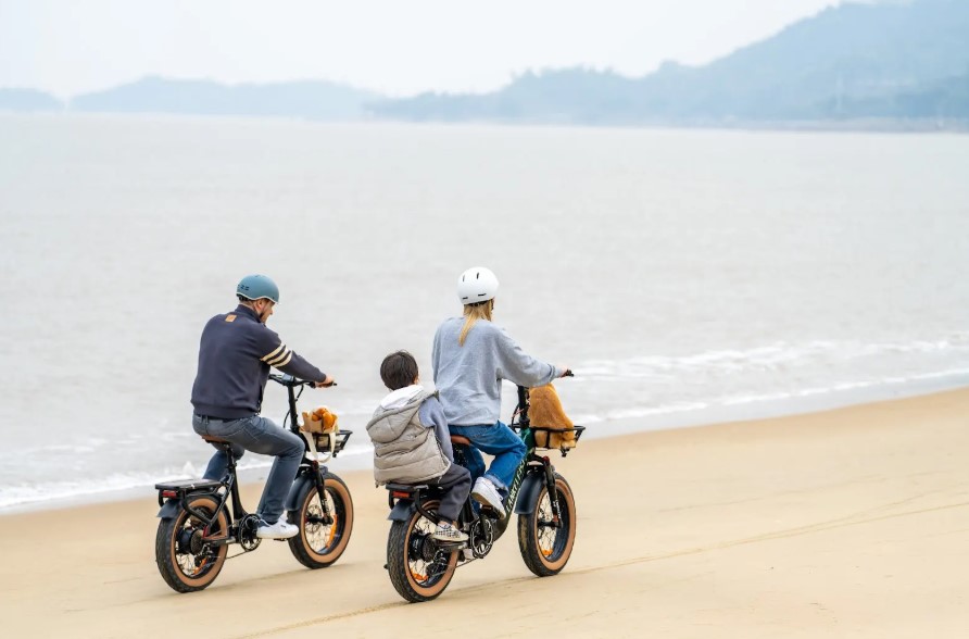 Perché scegliere una bici elettrica LANKELEISI: mobilità urbana semplice e pratica