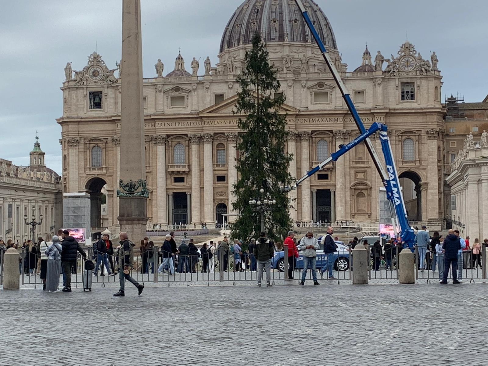 natale 2024 natale 2024