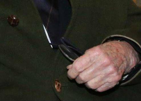 parkinson italia parkinson italia