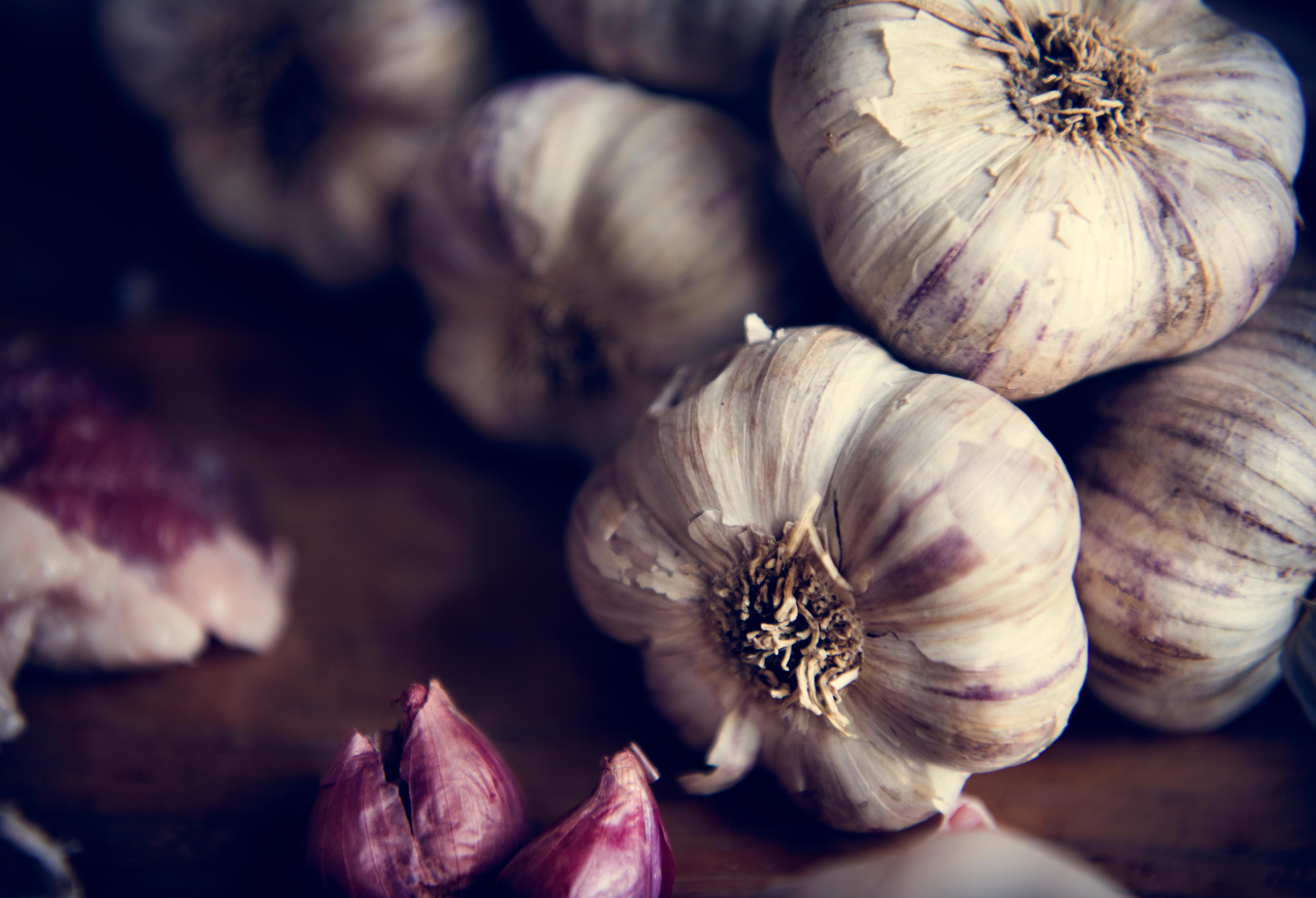 malattia vampiri malattia vampiri