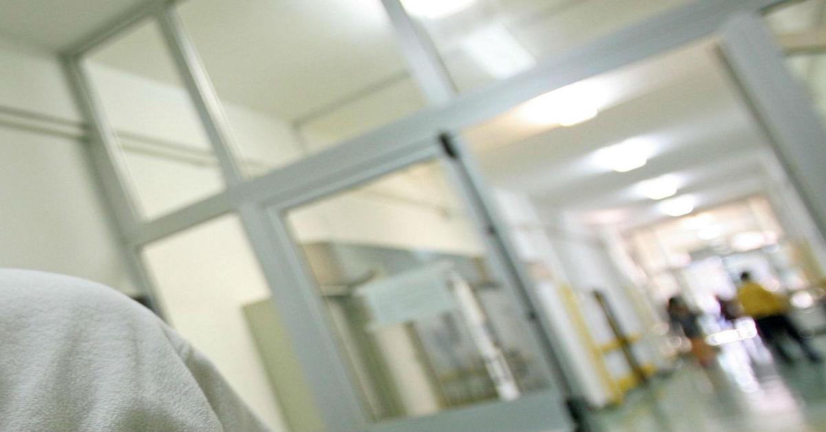 campania bassetti campania bassetti