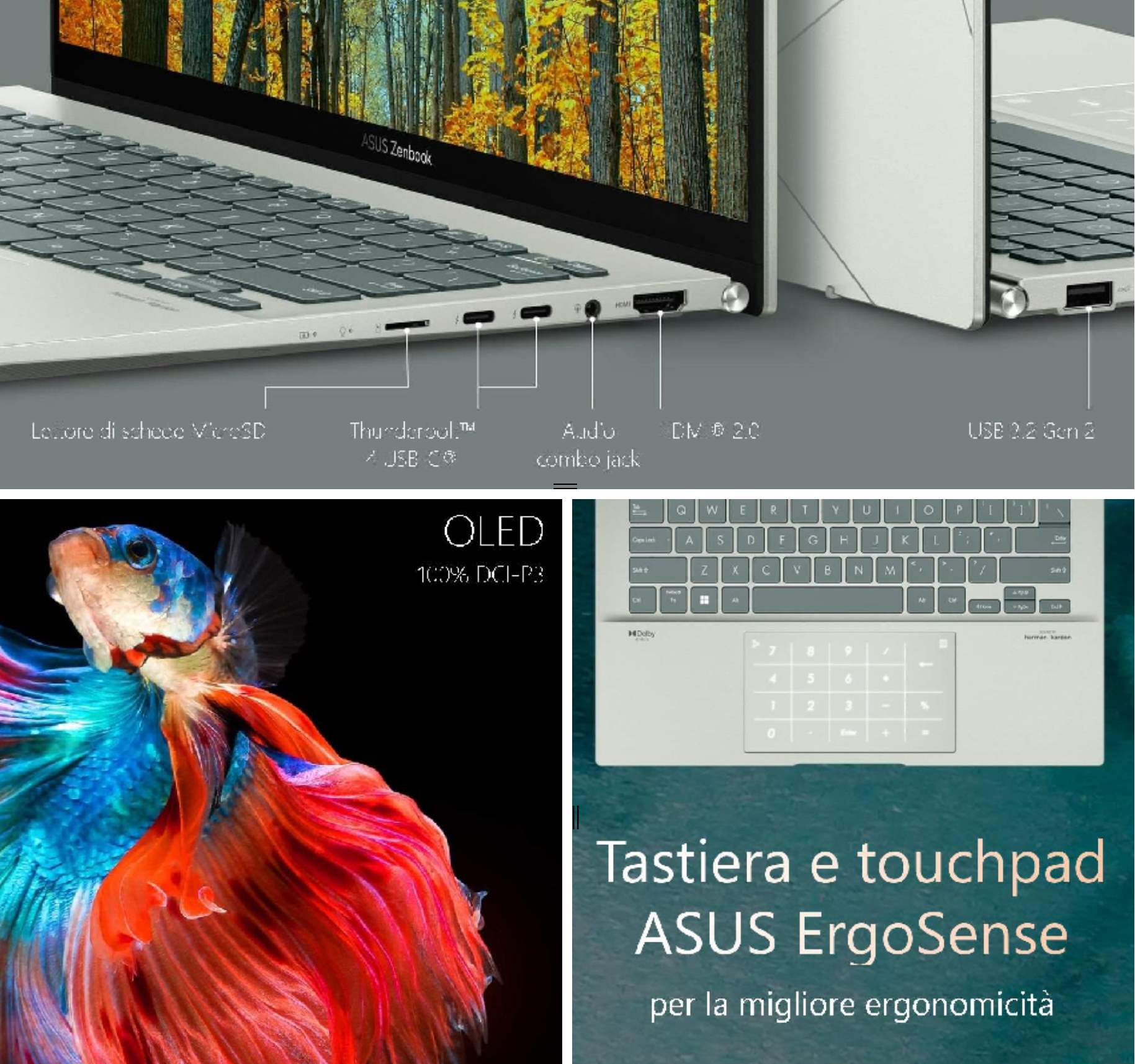 asus zenbook Asus Zenbook 14 OLED 2024 Recensione