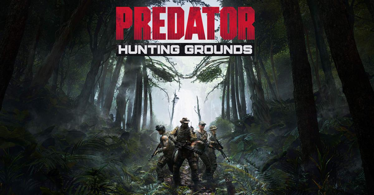predator hunting predator hunting