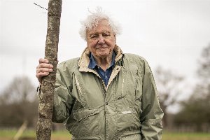 david attenborough david attenborough