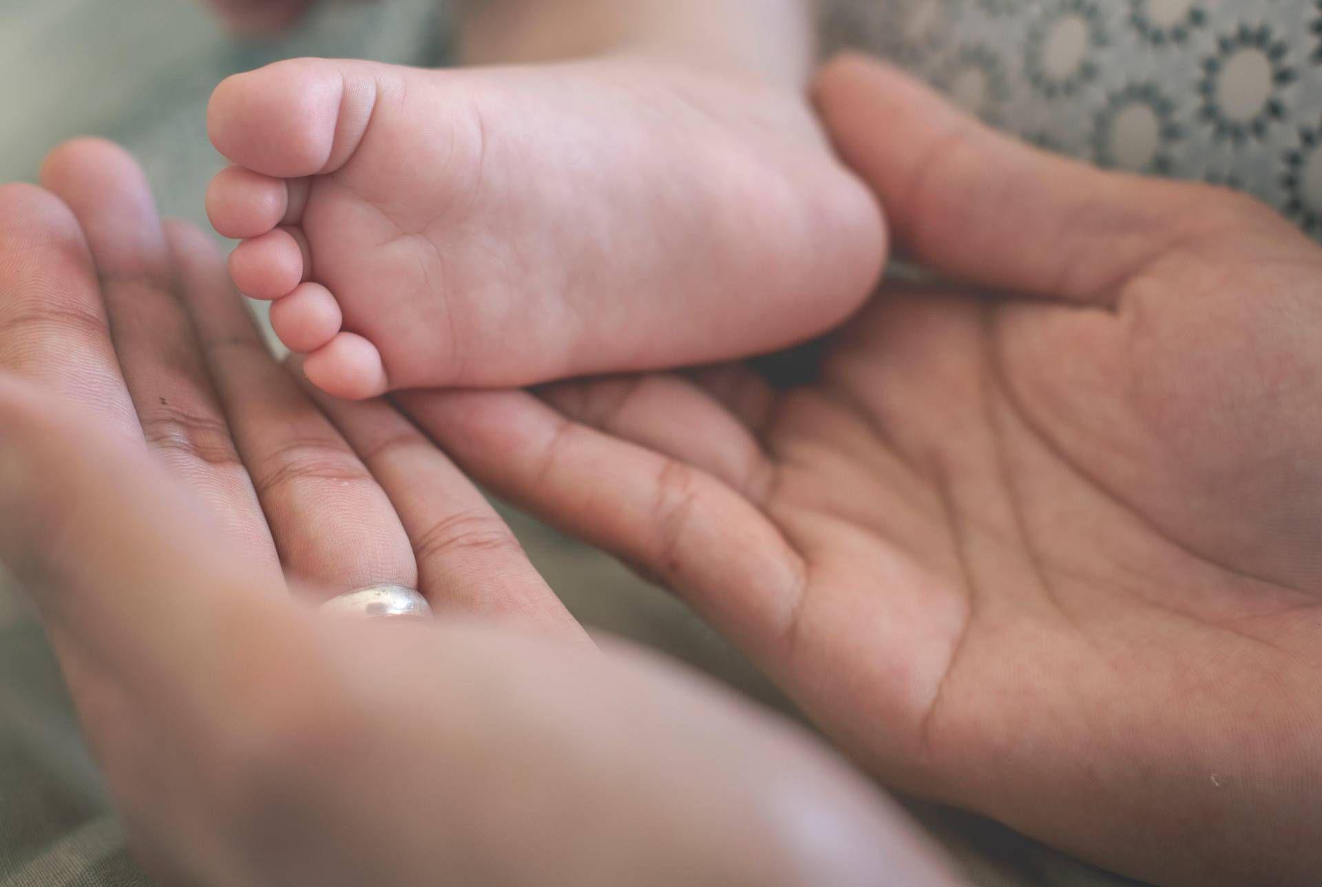 bonus bebè bonus bebè