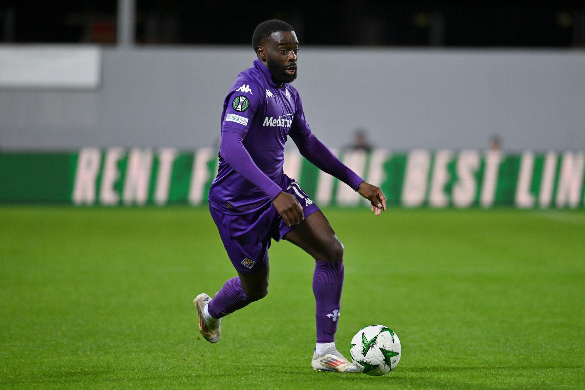 gallo fiorentina gallo fiorentina