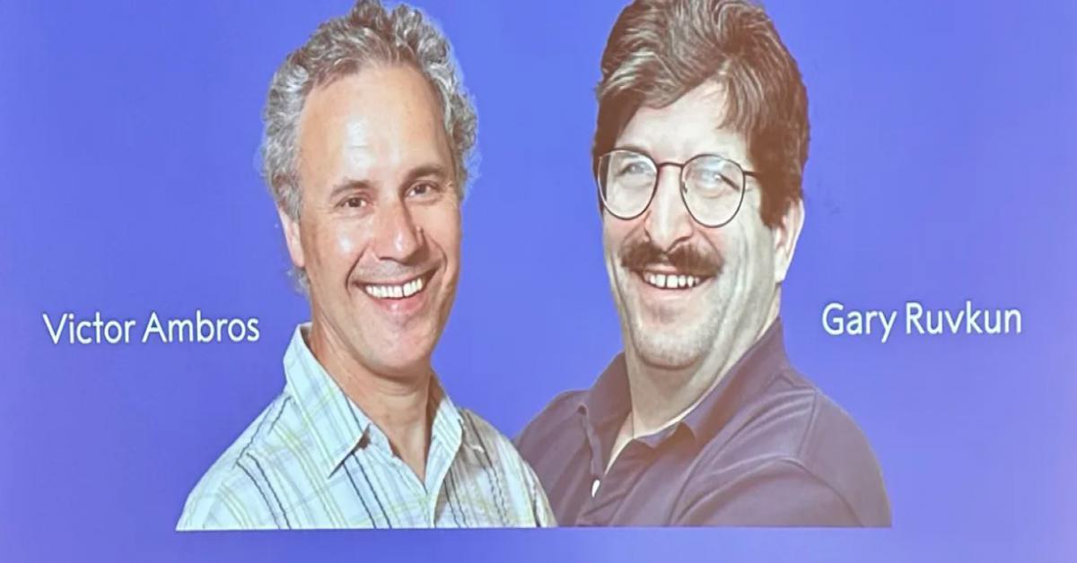 premio nobel premio nobel