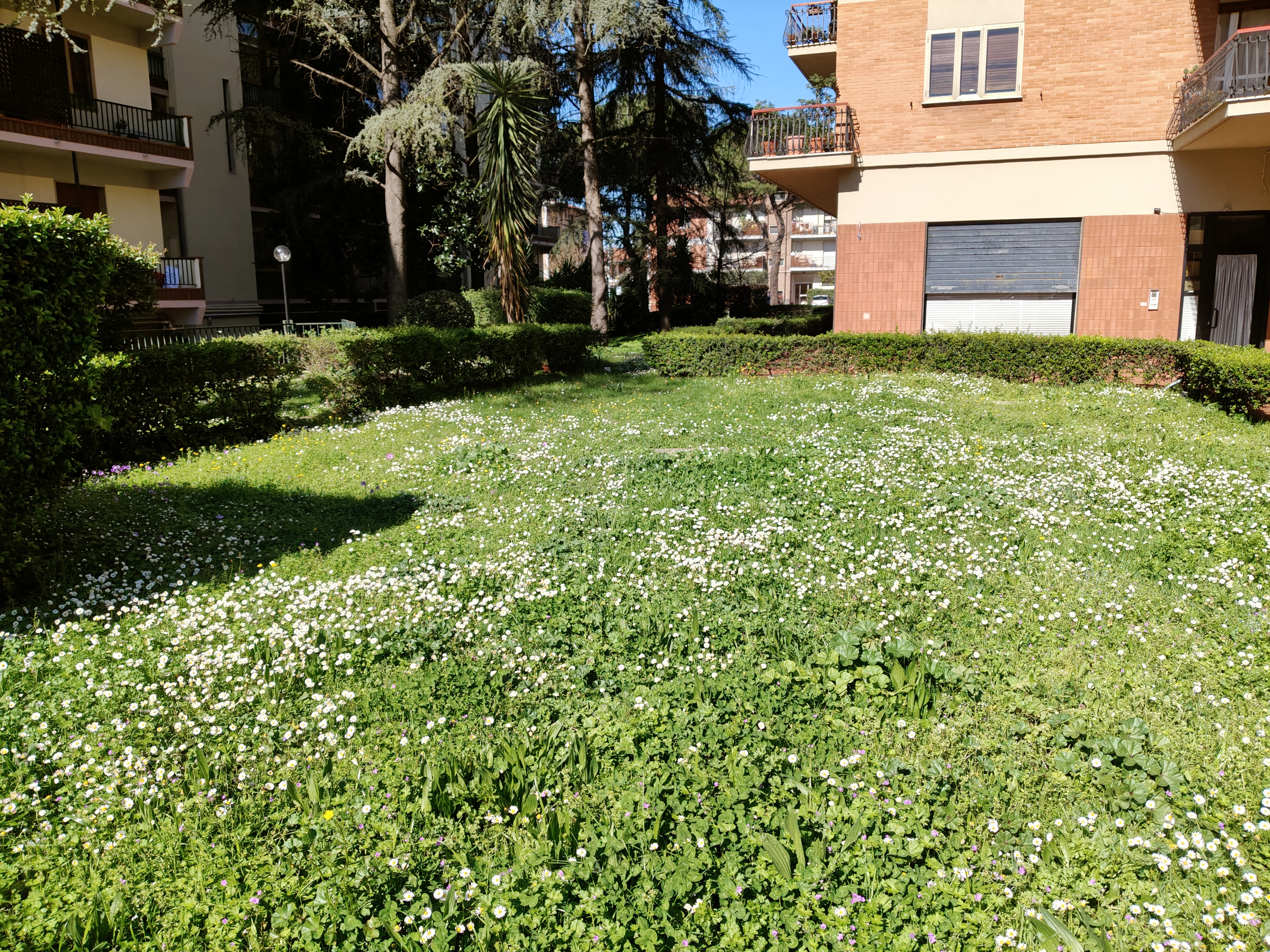 realme recensione Realme 12 Pro - Recensione tecnica comparto fotografico