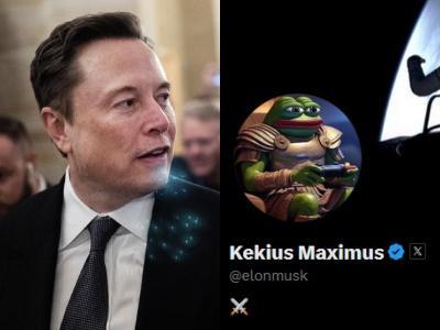 elon musk elon musk