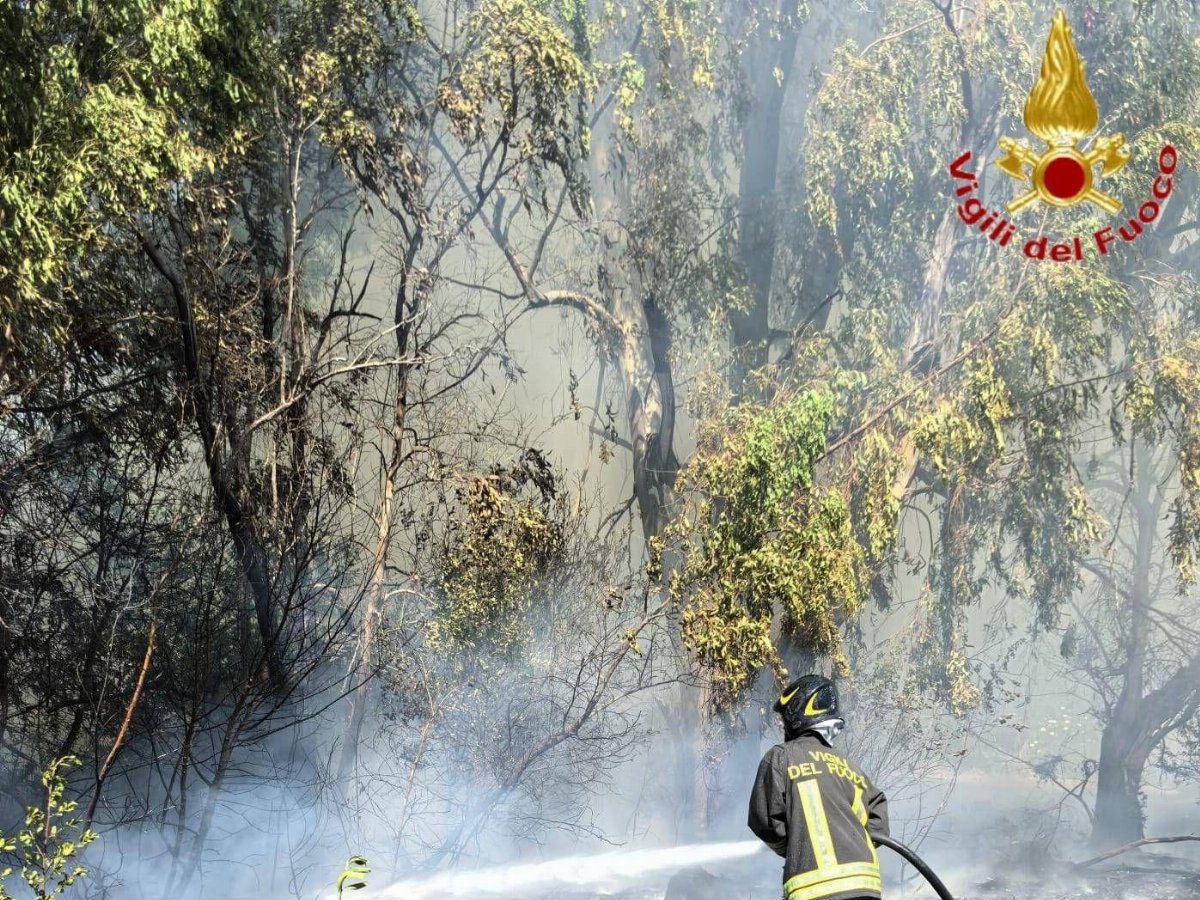 Incendio a Roma ovest: sterpaglie in fiamme tra via del Casale Lumbroso e via Pio Spezi