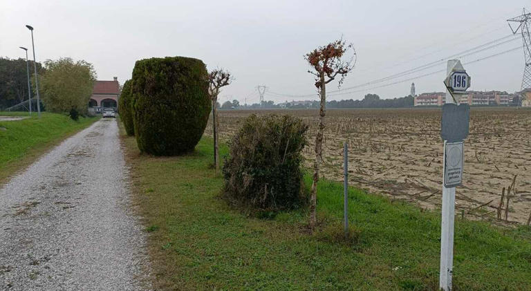 Padova : Pietro Alfonsini schiacciato dalla motozappa mentre lavora