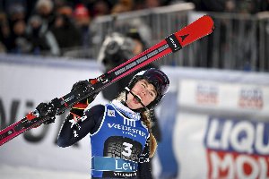 shiffrin domina