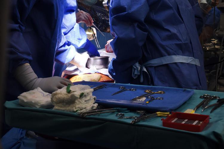 trapianti 2025 trapianti 2025