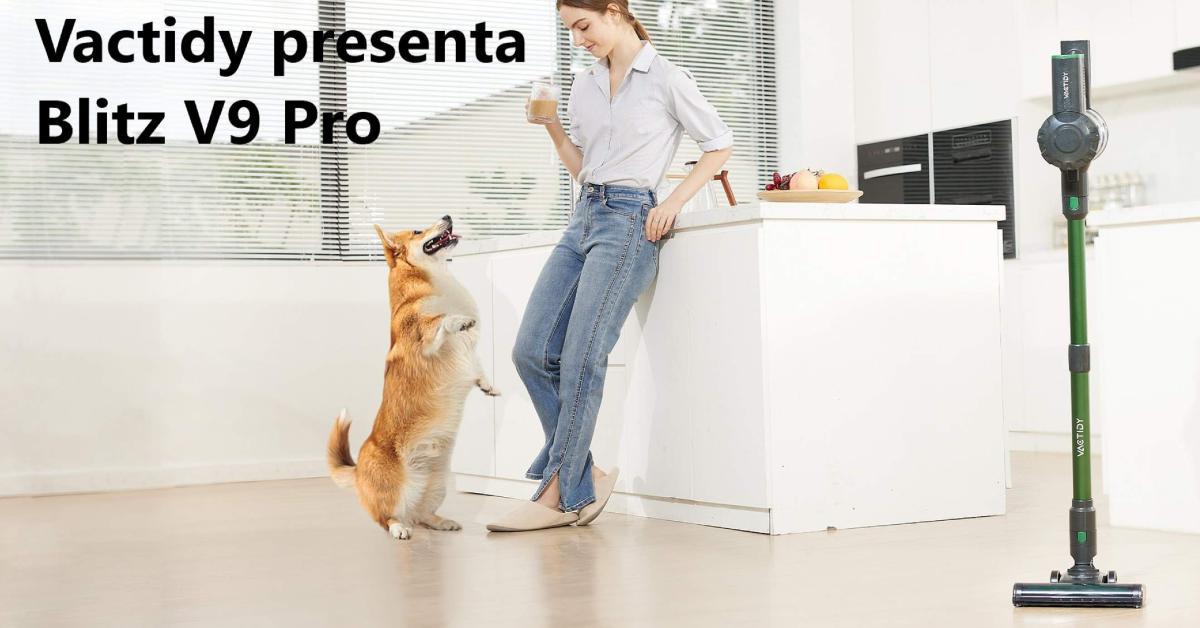 vactidy presenta vactidy presenta
