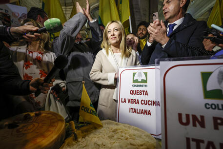 nuovo decreto nuovo decreto