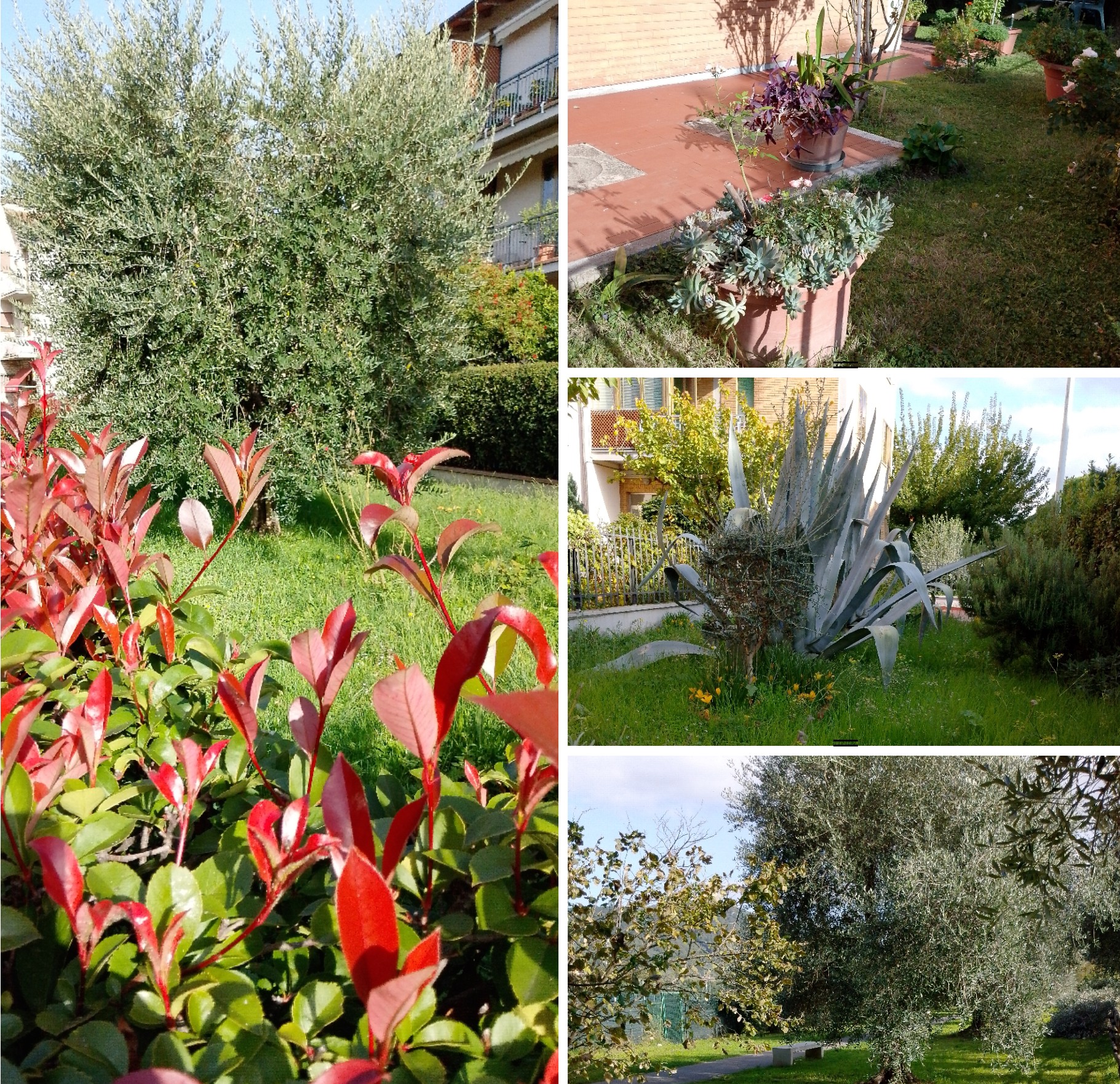 recensione realme Recensione realme Note 60