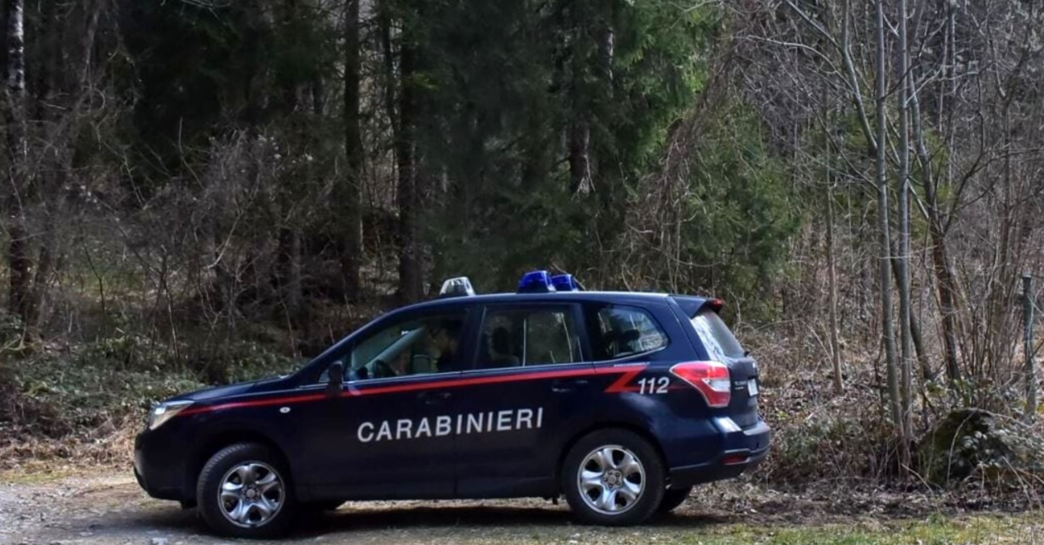 Investono un Capriolo e Tentano di Macellarlo : Gesto Brutale a Ponte Docciola Modena