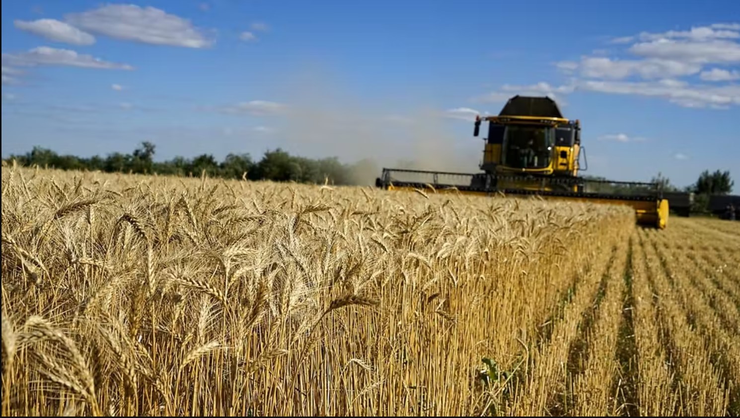 Ucraina : oggi si firma accordo sul grano