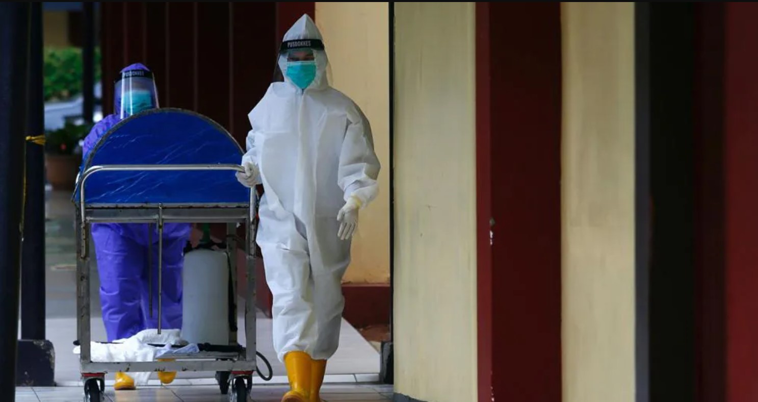 covid mondo covid mondo