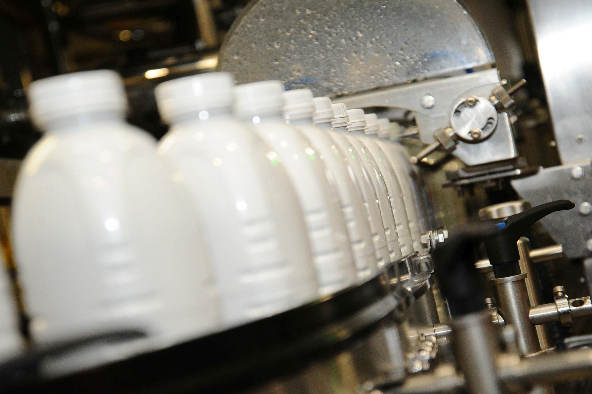 aviaria latte aviaria latte