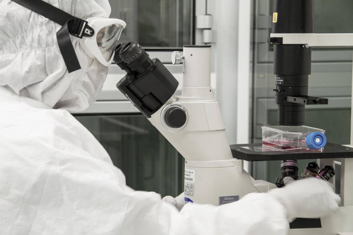 Donatore di sperma con mutazione genetica: rischio tumori per 197 figli in Europa Donatore di sperma con mutazione genetica: rischio tumori per 197 figli in Europa