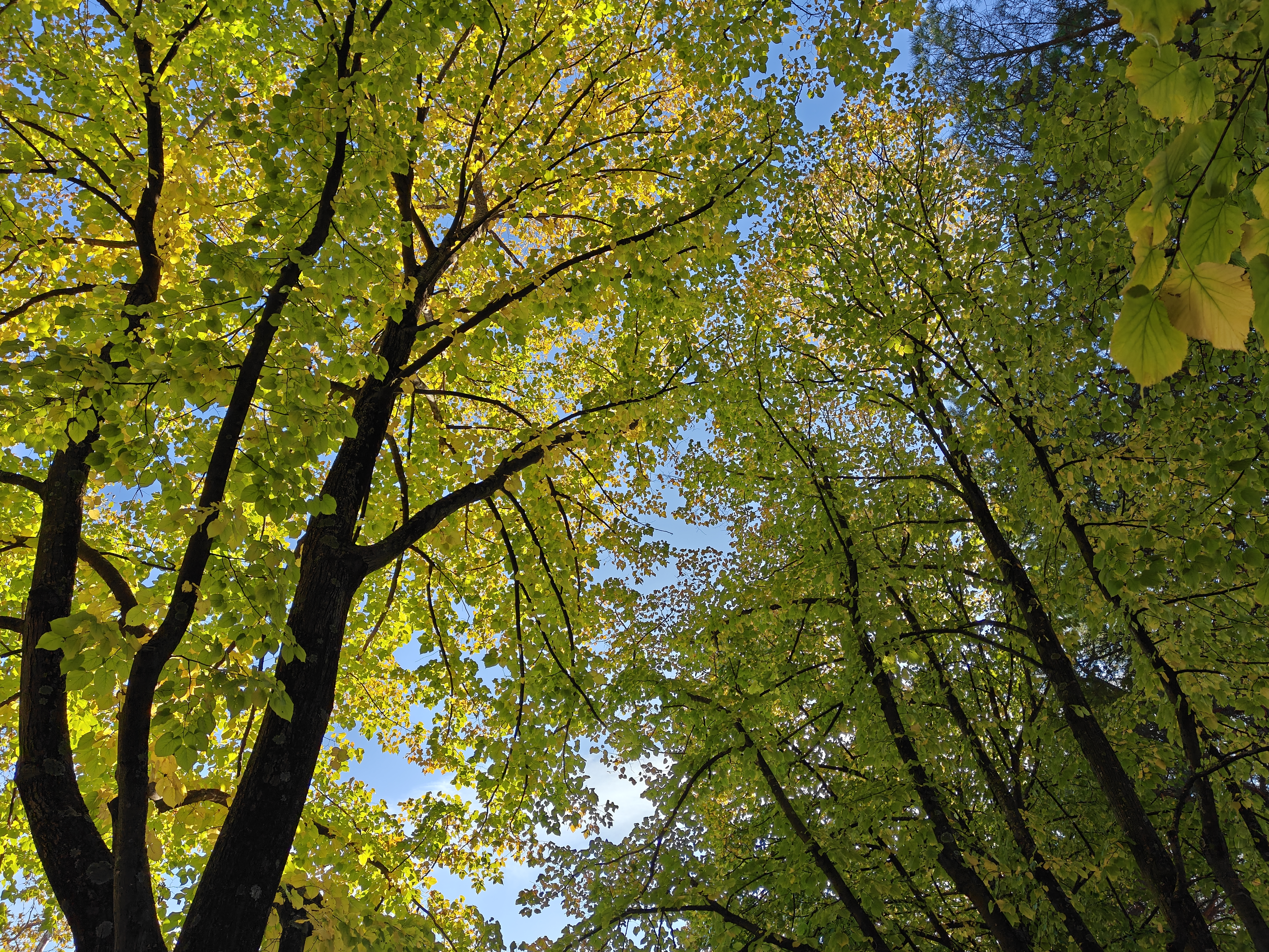 recensione realme Recensione realme GT 7 Pro