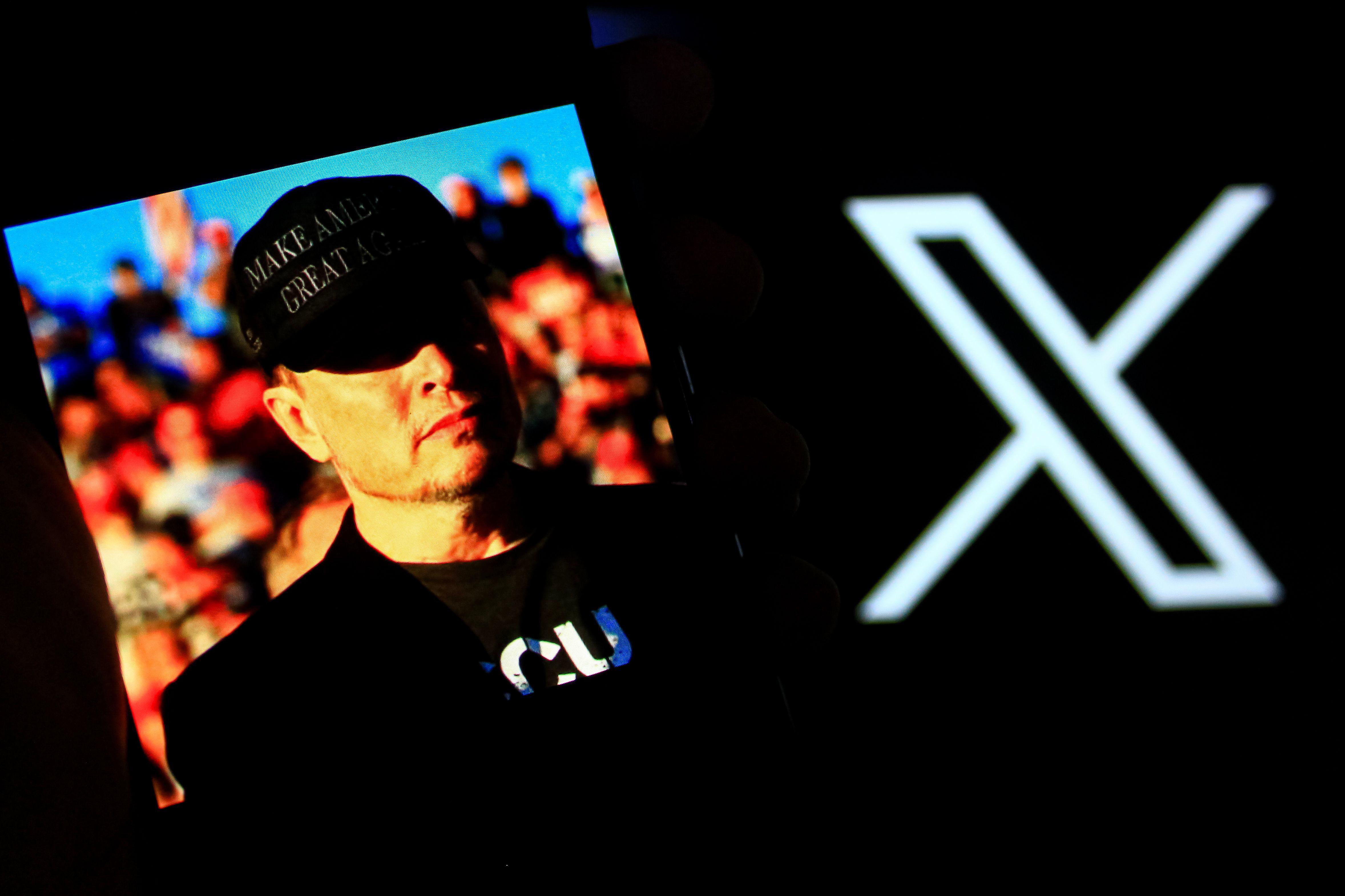 perdita follower perdita follower