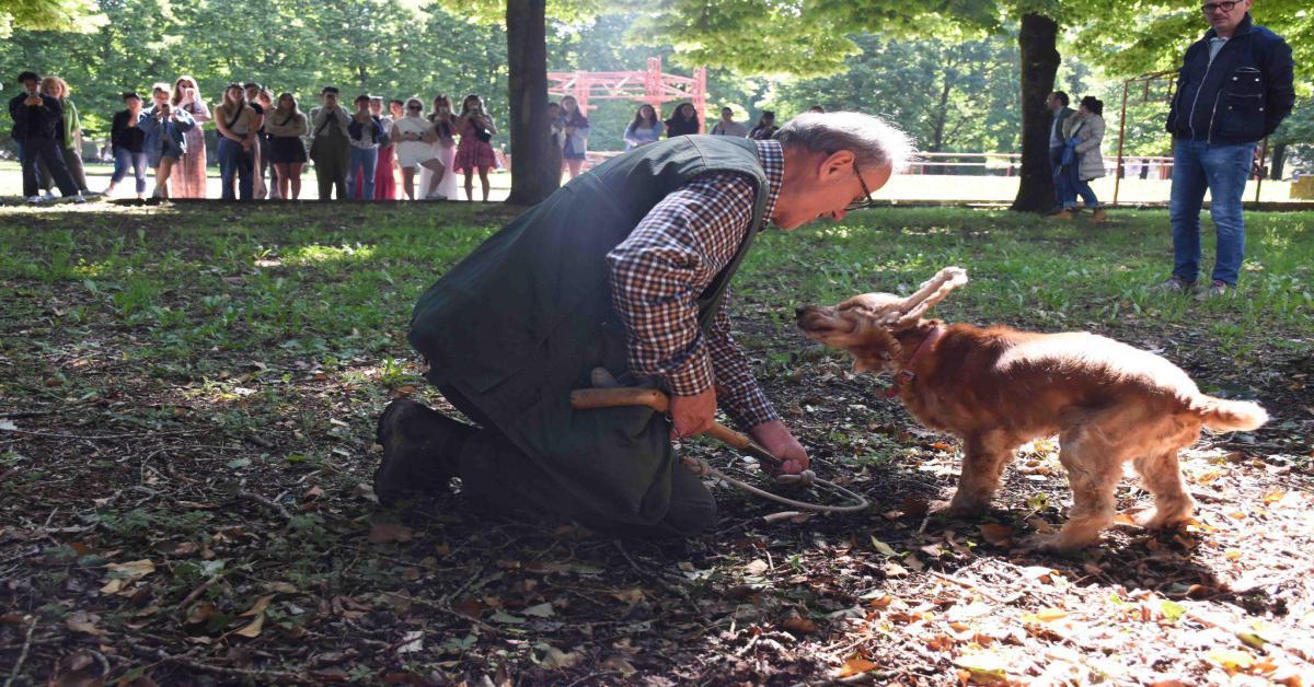 Leo, il Cane Cieco Campione di Tartufo: La Straordinaria Storia