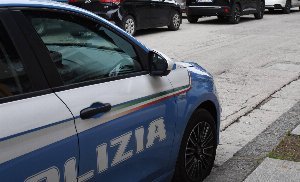 novara bimba novara bimba