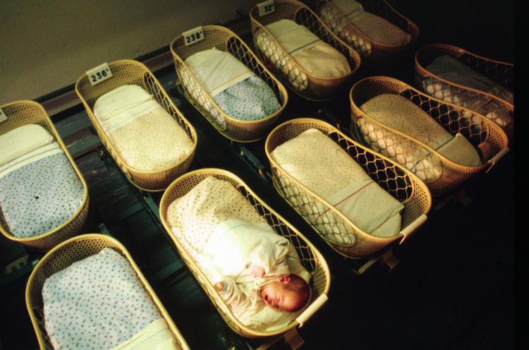 nuovo calo nuovo calo