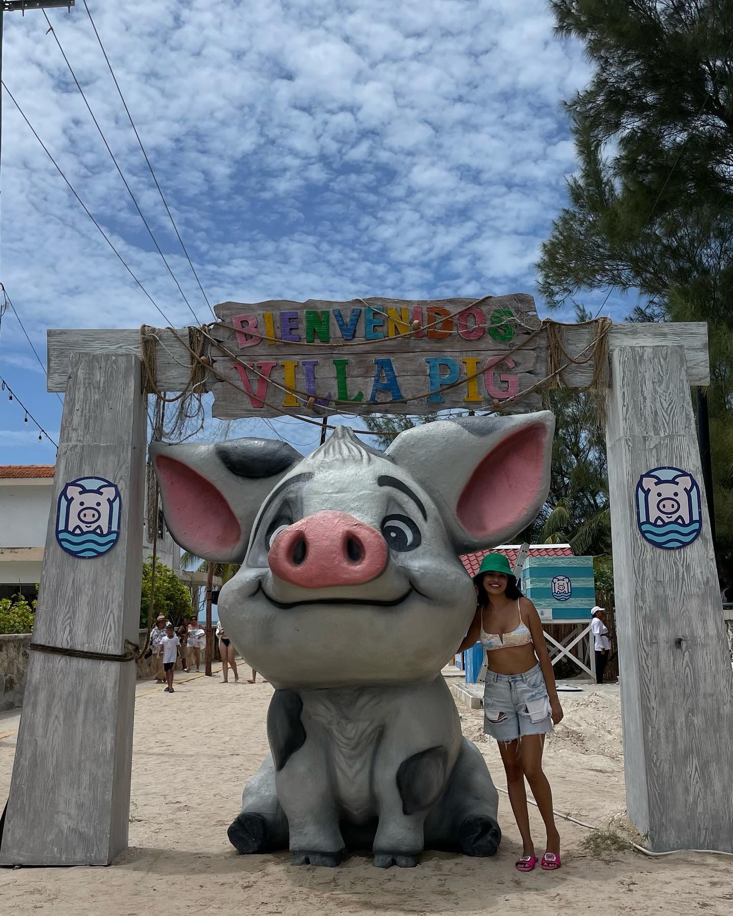 Atokos, la Pig Beach greca dove i maiali neri nuotano con i turisti