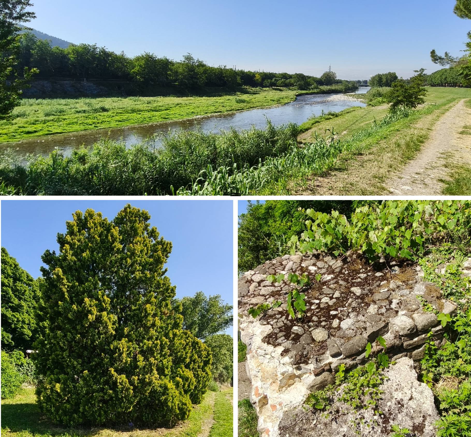  Recensione realme GT 7