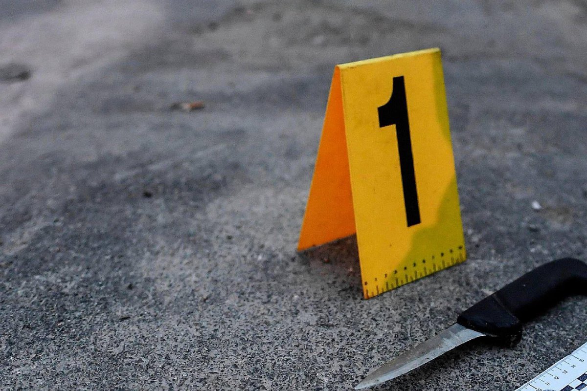 Pd propone nuove leggi contro la diffusione di armi e coltelli: educazione e controlli più severi
