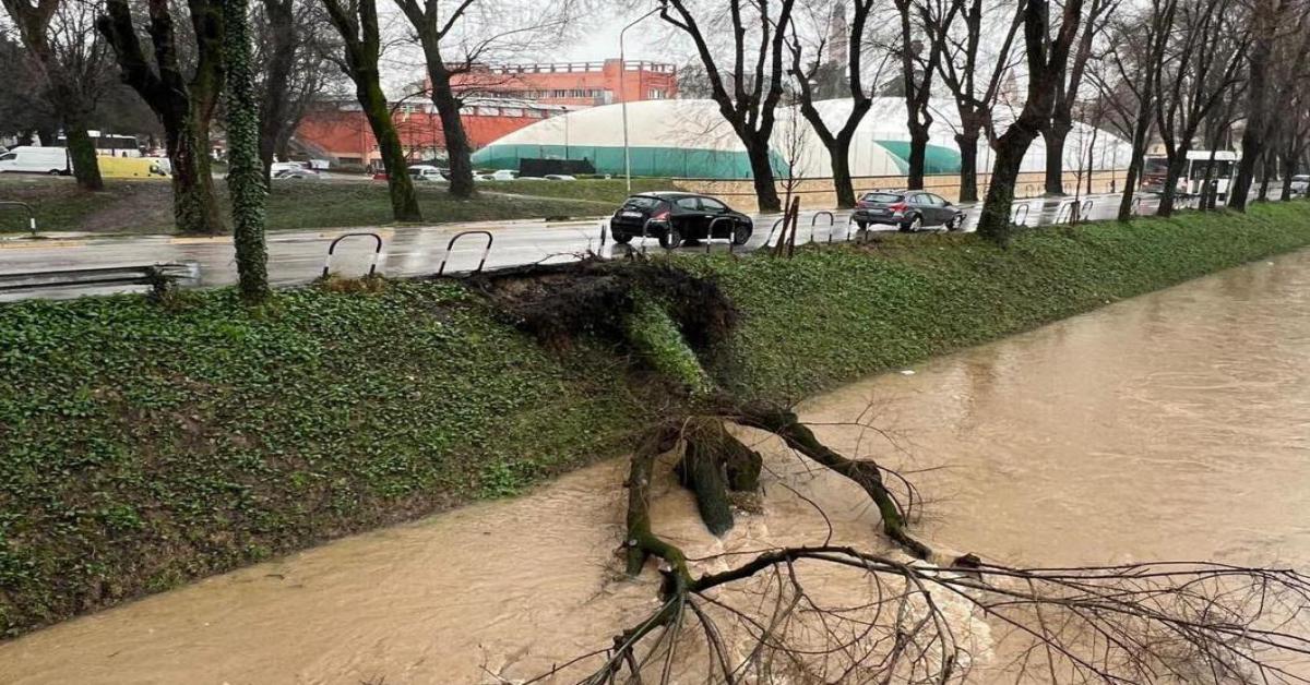 Allerta Meteo Rossa in Veneto: Scuole chiuse a Vicenza il 28 Febbraio