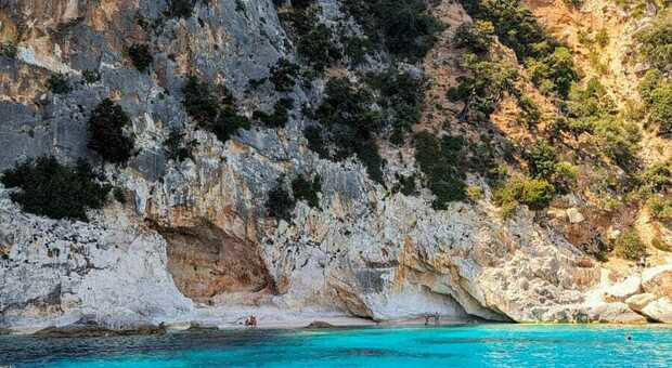 Tragedia a Baunei: Giovane di Nuoro Morta per Albero Caduto a Cala delle Piscine di Venere