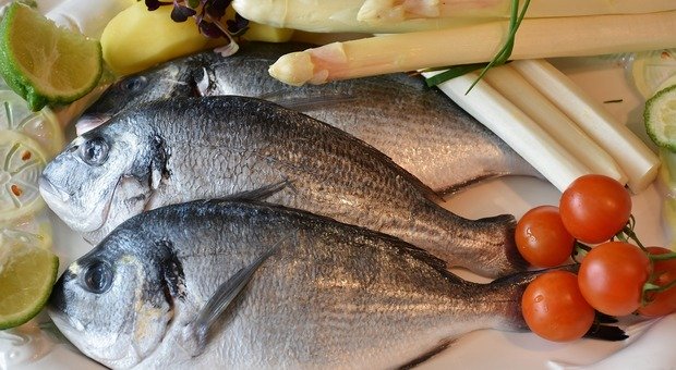 Pranzo di pesce a Gubbio : Vomito e dissenteria