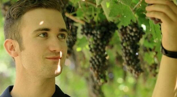 cantina valpolicella cantina valpolicella