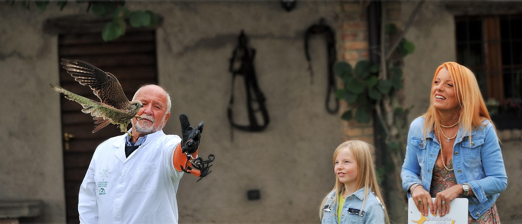 TV, A DALLA PARTE DEGLI ANIMALI : LA PICCOLA STELLA, GLI ASINELLI SARDI, IL MUSEO DEL MARE DI MILAZZO E I PICCOLI FALCHI LIBERATI AL CRAS STELLA DEL NORD