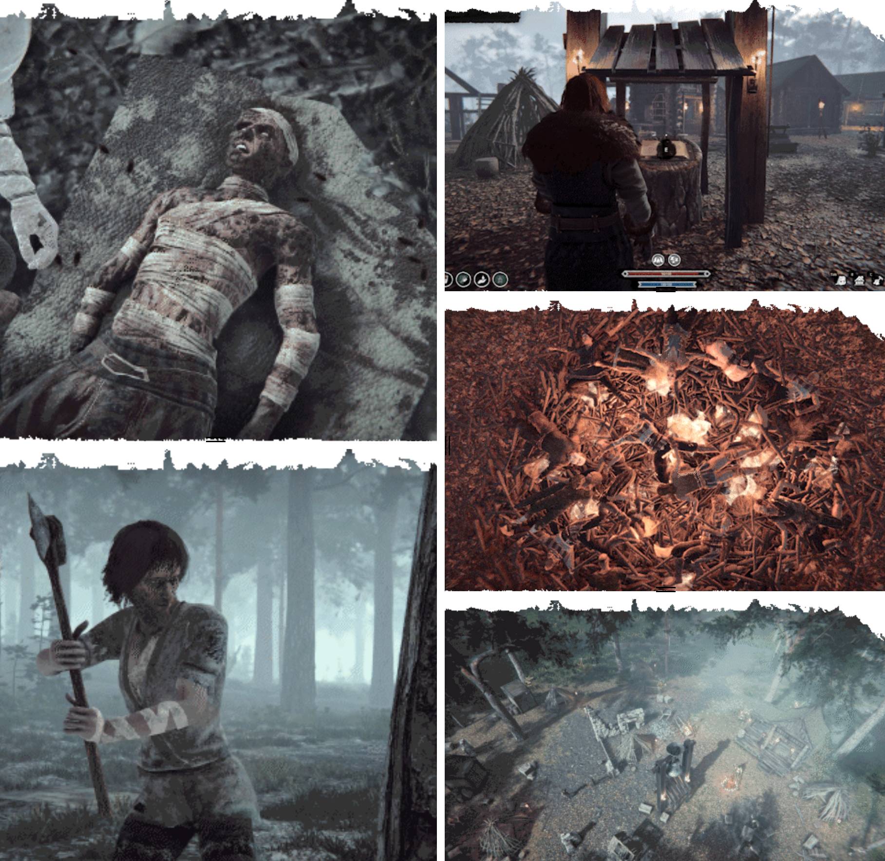 Recensione Recensione Nested Lands