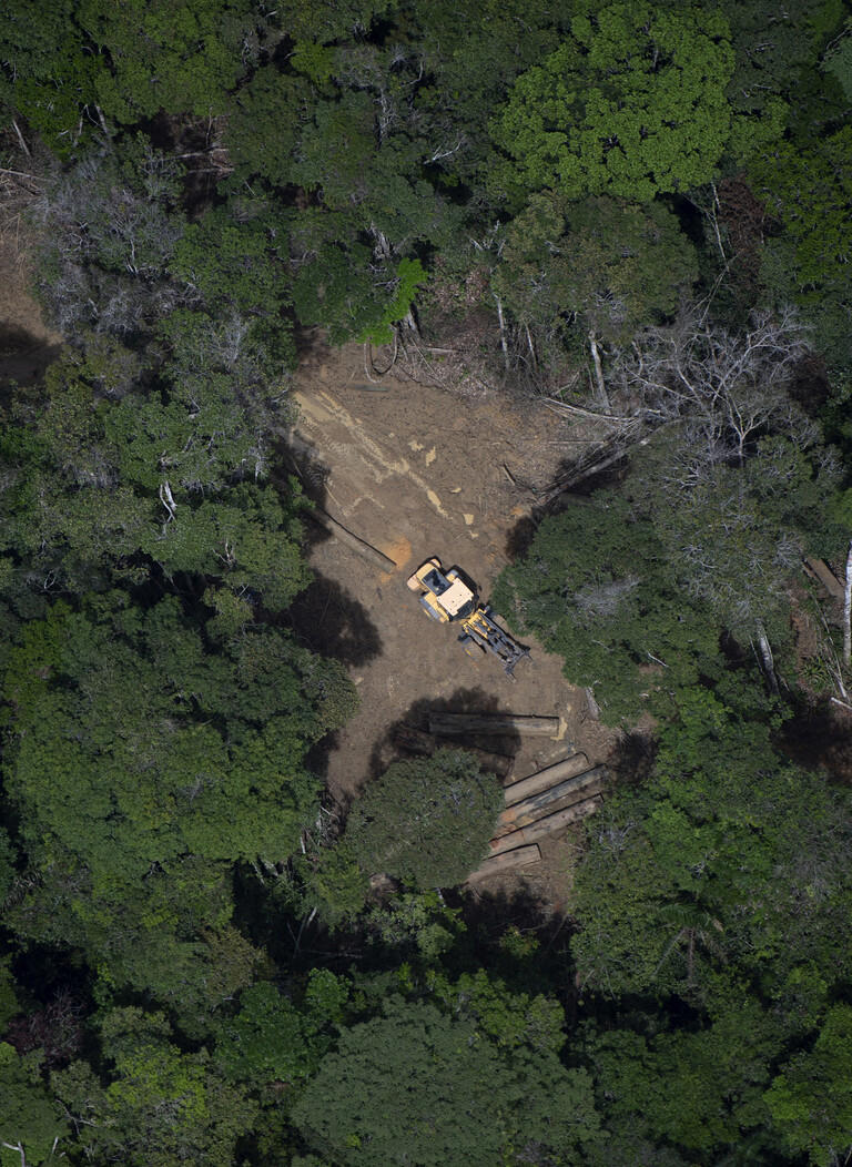 Ecuador : Referendum Ferma lo Sfruttamento Petrolifero nel Parco Nazionale Yasuni
