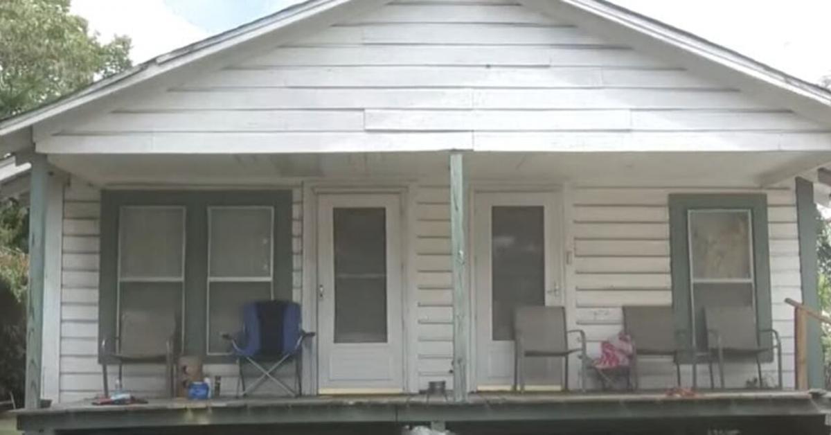 louisiana bambino louisiana bambino