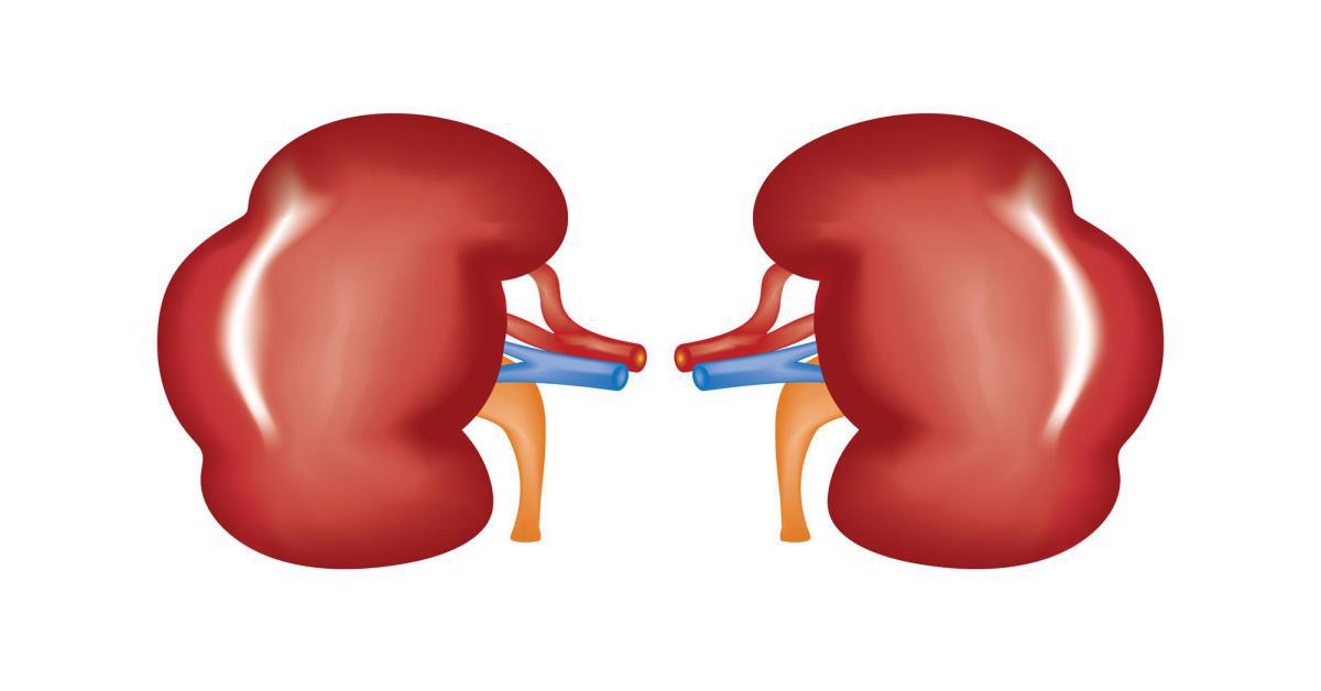 Malattia renale cronica: oltre 800 milioni di persone colpite a livello globale