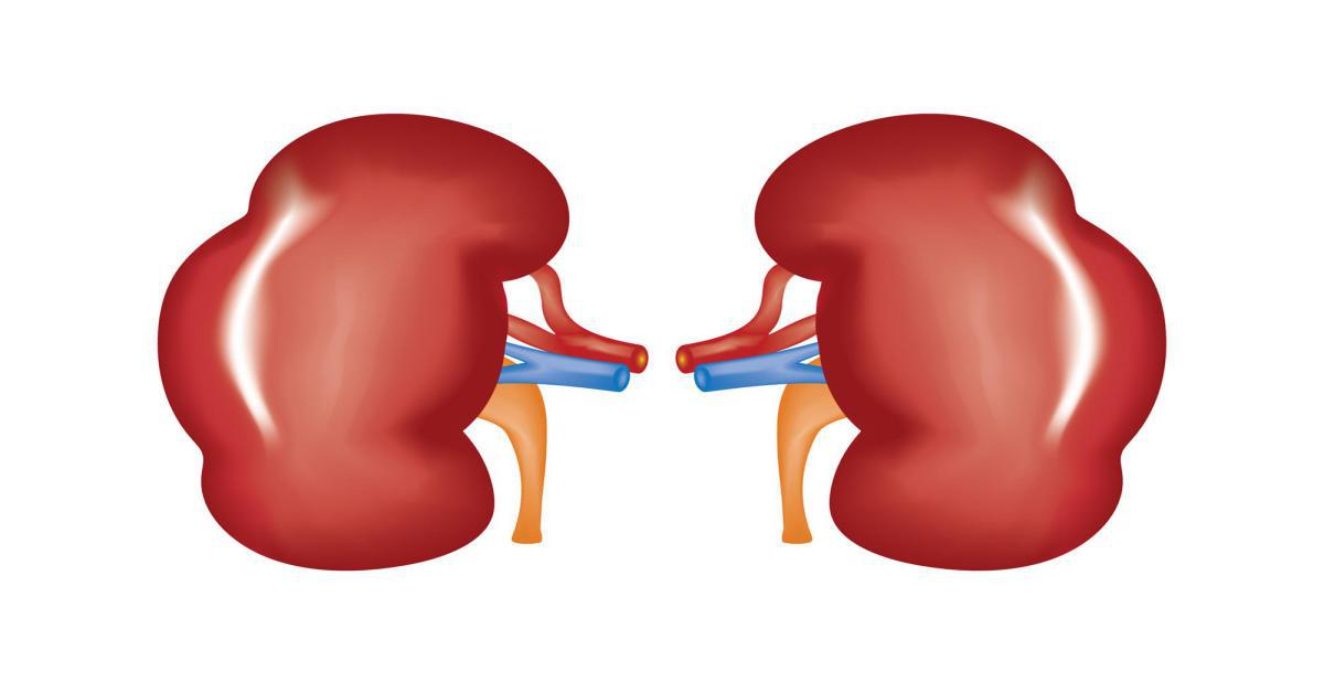 malattia renale malattia renale