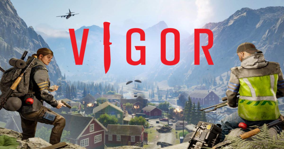 vigor disponibile