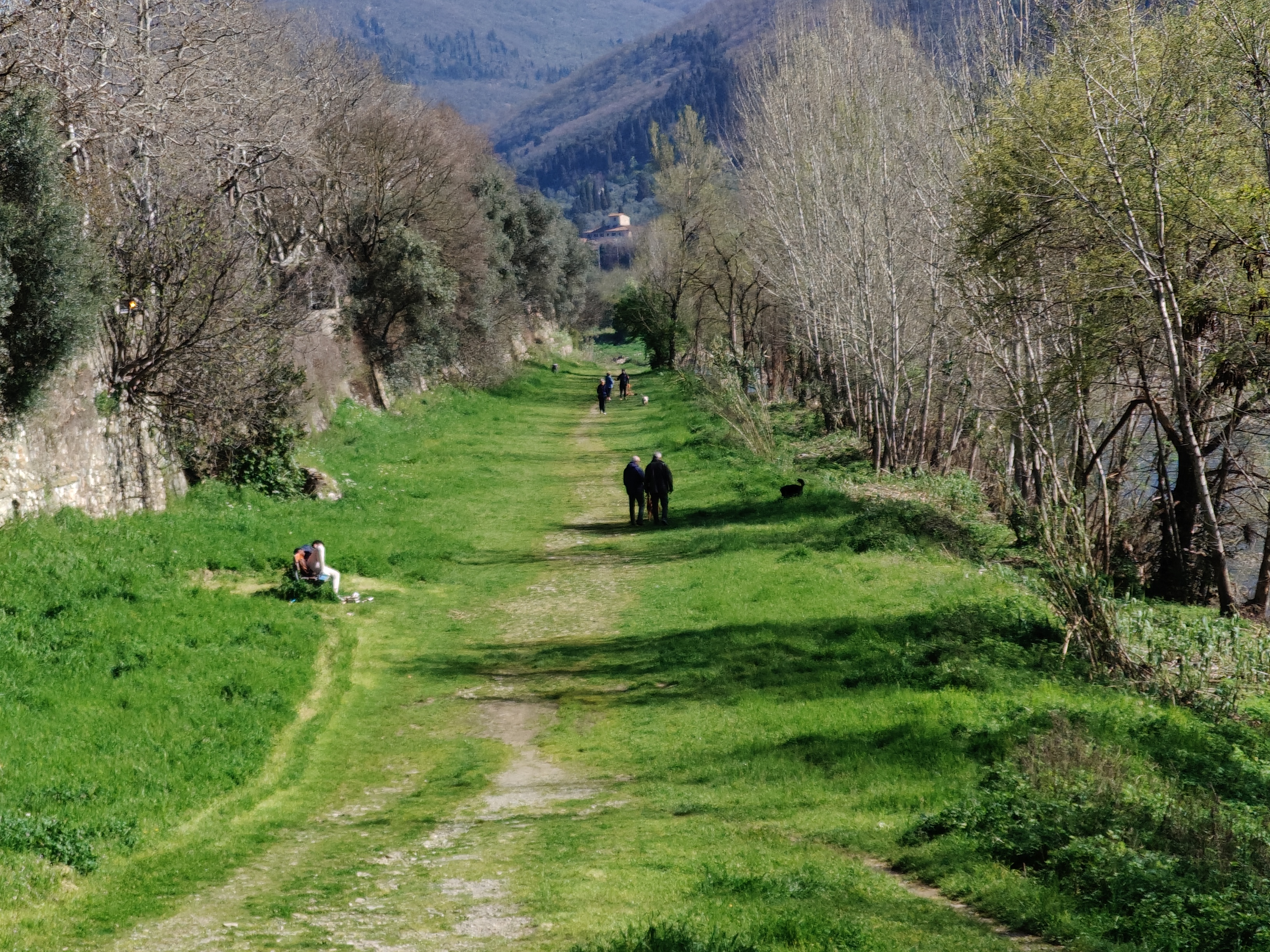 realme recensione Realme 12 Pro - Recensione tecnica comparto fotografico