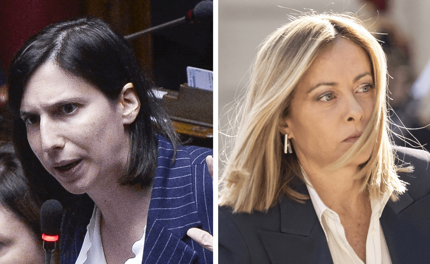 schlein critica schlein critica