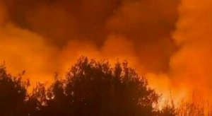 cadavere carbonizzato