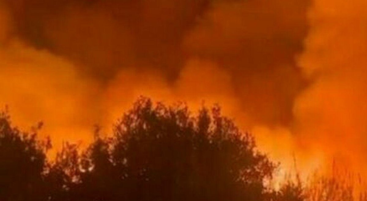 Cadavere carbonizzato dopo un incendio a Vinci, indagini su una lite tra madre e figlio Cadavere carbonizzato dopo un incendio a Vinci, indagini su una lite tra madre e figlio