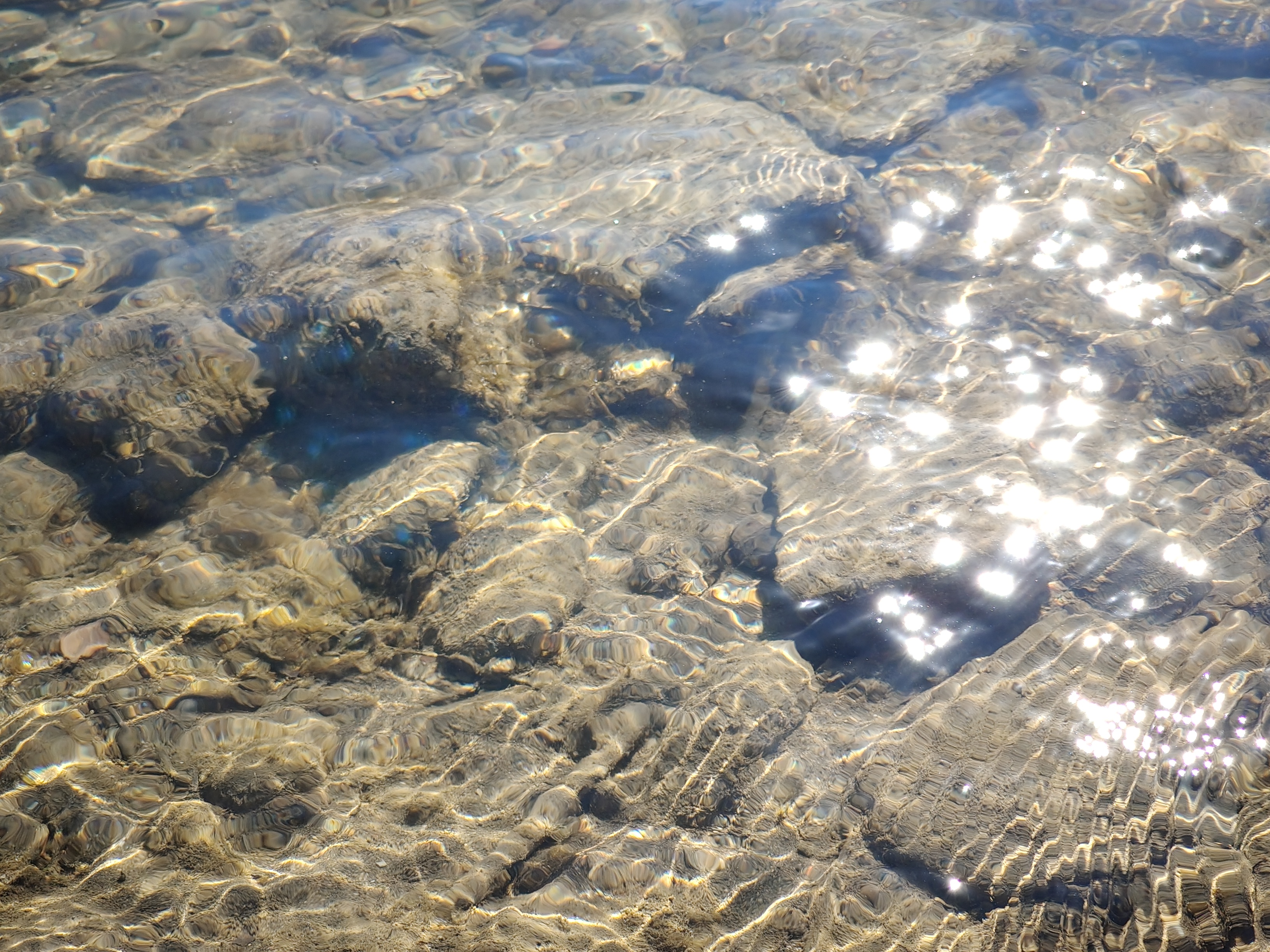 realme recensione Realme 12 Pro - Recensione tecnica comparto fotografico