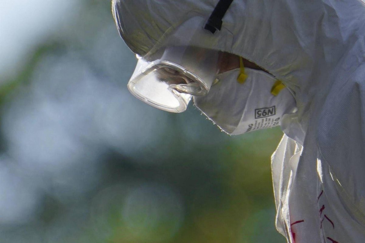 Aviaria, l Aviaria, l